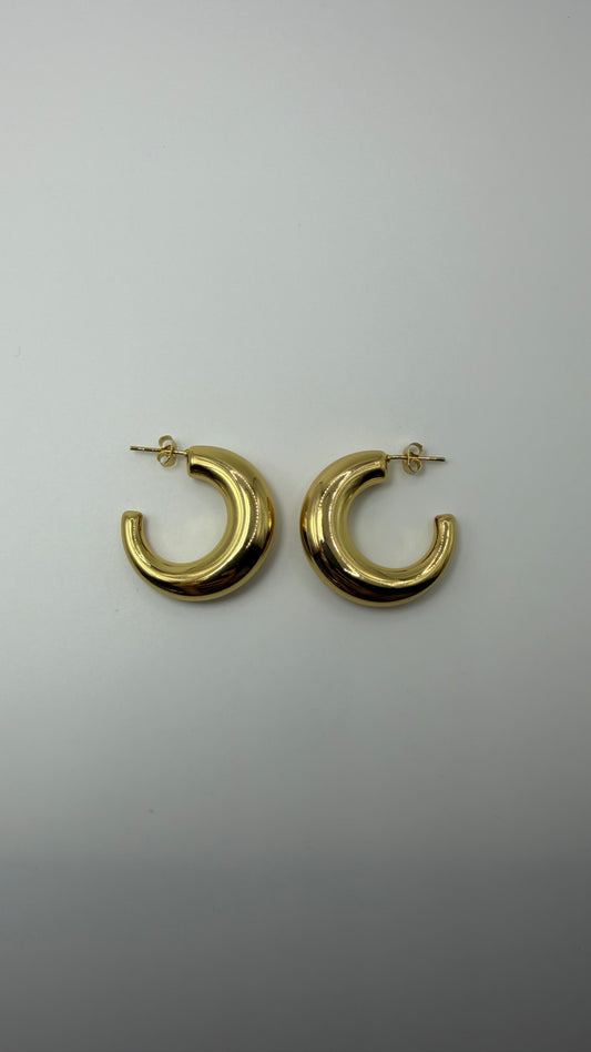 Ava Hoops