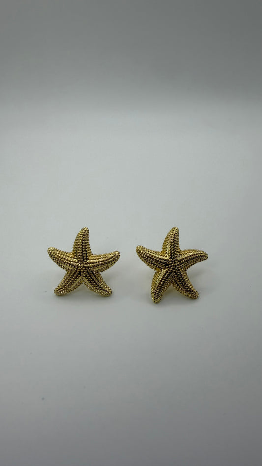 Aquamarine Earrings